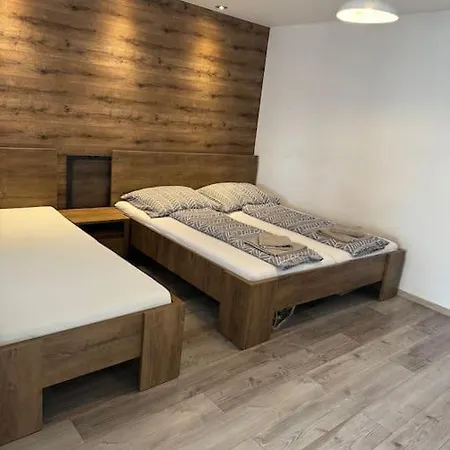 Holiday home U Starostu