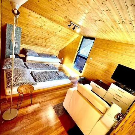 Holiday home U Starostu